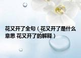 花又开了全句（花又开了是什么意思 花又开了的解释）