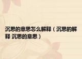 沉思的意思怎么解释（沉思的解释 沉思的意思）