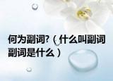 何为副词?（什么叫副词 副词是什么）