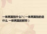 一体两翼指什么?（一体两翼指的是什么 一体两翼的解释）
