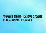 肉字是什么偏旁什么结构（肉是什么偏旁 肉字是什么偏旁）