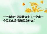 一个青加个见是什么字（一个青一个见怎么读 青加见念什么）