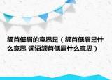 颔首低眉的意思是（颔首低眉是什么意思 词语颔首低眉什么意思）