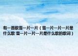 有一首歌雪一片一片（雪一片一片一片是什么歌 雪一片一片一片是什么歌的歌词）