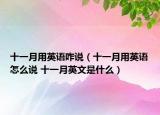 十一月用英语咋说（十一月用英语怎么说 十一月英文是什么）