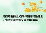 见微知著的近义词 你知道吗是什么（见微知著的近义词 你知道吗）