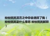 纷纷扰扰流言之中你会选择了我（纷纷扰扰是什么意思 纷纷扰扰解释）