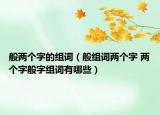 般两个字的组词（般组词两个字 两个字般字组词有哪些）