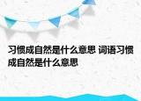 习惯成自然是什么意思 词语习惯成自然是什么意思