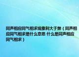 同声相应同气相求现象利大于弊（同声相应同气相求是什么意思 什么是同声相应同气相求）
