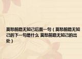 莫愁前路无知己后面一句（莫愁前路无知己的下一句是什么 莫愁前路无知己的出处）