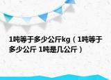 1吨等于多少公斤kg（1吨等于多少公斤 1吨是几公斤）