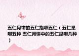 五仁月饼的五仁指哪五仁（五仁是哪五种 五仁月饼中的五仁是哪几种）