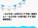 一头公牛和一头母牛打三个字猜一猜是什么（一头公牛和一头母牛猜三个字 简述解题思路）