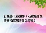 石鳖是什么动物?（石鳖是什么动物 石鳖属于什么动物）