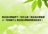 桃花流水鳜鱼肥下一句怎么读（桃花流水鳜鱼肥上一句诗是什么 桃花流水鳜鱼肥原诗及译文）