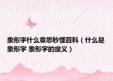 象形字什么意思秒懂百科（什么是象形字 象形字的定义）