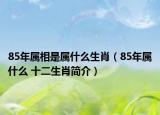 85年属相是属什么生肖（85年属什么 十二生肖简介）