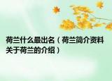 荷兰什么最出名（荷兰简介资料 关于荷兰的介绍）