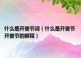 什么是开音节词（什么是开音节 开音节的解释）