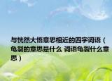 与恍然大悟意思相近的四字词语（龟裂的意思是什么 词语龟裂什么意思）