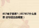 857啥子意思?（857857什么意思 这句话出自哪里）