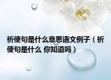 祈使句是什么意思语文例子（祈使句是什么 你知道吗）