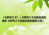 《卡萨布兰卡》（卡萨布兰卡花的花语和寓意 卡萨布兰卡花的花语和寓意介绍）