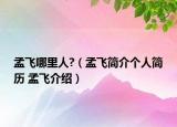 孟飞哪里人?（孟飞简介个人简历 孟飞介绍）