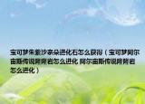宝可梦朱紫沙奈朵进化石怎么获得（宝可梦阿尔宙斯传说隆隆岩怎么进化 阿尔宙斯传说隆隆岩怎么进化）