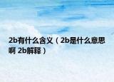 2b有什么含义（2b是什么意思啊 2b解释）