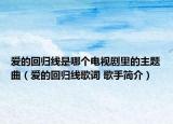 爱的回归线是哪个电视剧里的主题曲（爱的回归线歌词 歌手简介）