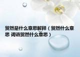 贸然是什么意思解释（贸然什么意思 词语贸然什么意思）