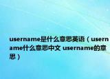username是什么意思英语（username什么意思中文 username的意思）