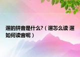 遛的拼音是什么?（遛怎么读 遛如何读音呢）