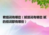 君组词有哪些（腻组词有哪些 腻的组词都有哪些）