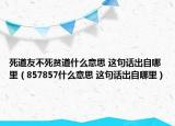 死道友不死贫道什么意思 这句话出自哪里（857857什么意思 这句话出自哪里）