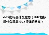 ddY指标是什么意思（ddx指标是什么意思 ddx指标的含义）