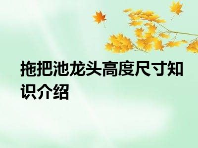 拖把池龙头高度尺寸知识介绍