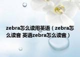 zebra怎么读用英语（zebra怎么读音 英语zebra怎么读音）