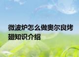 微波炉怎么做奥尔良烤翅知识介绍
