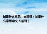 bl是什么意思中文翻译（bl是什么意思中文 bl解释）