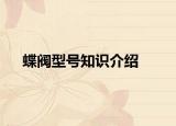 蝶阀型号知识介绍
