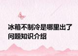 冰箱不制冷是哪里出了问题知识介绍