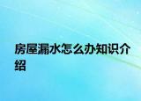 房屋漏水怎么办知识介绍