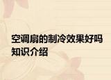 空调扇的制冷效果好吗知识介绍