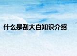 什么是刮大白知识介绍