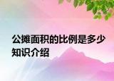 公摊面积的比例是多少知识介绍