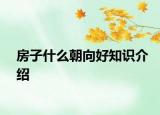 房子什么朝向好知识介绍