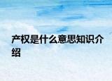 产权是什么意思知识介绍